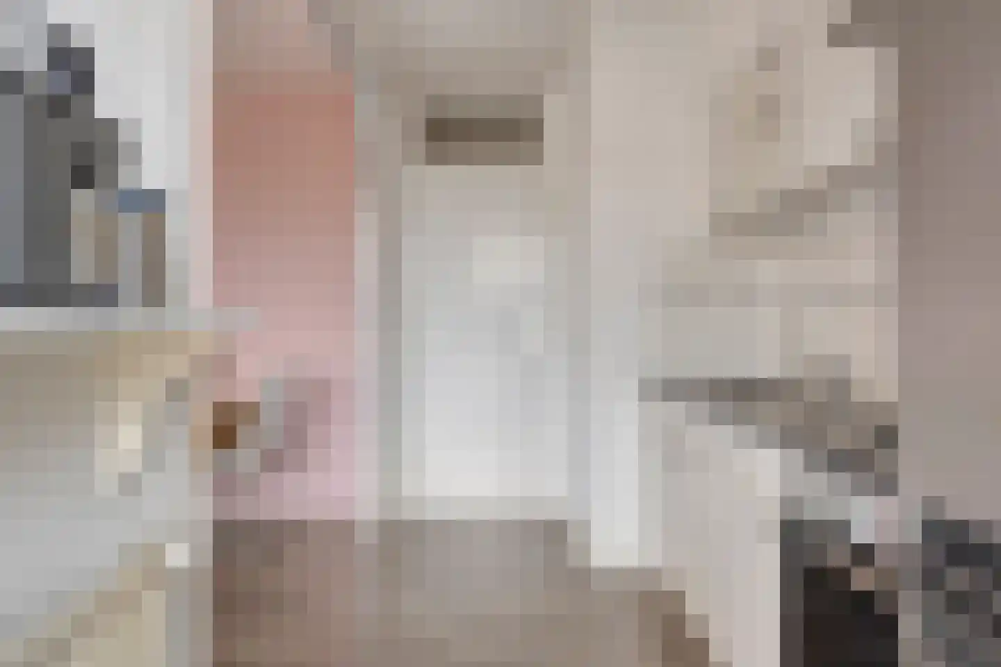 Ruys de Beerenbrouckstraat 75 Zutphen thumbnail 12