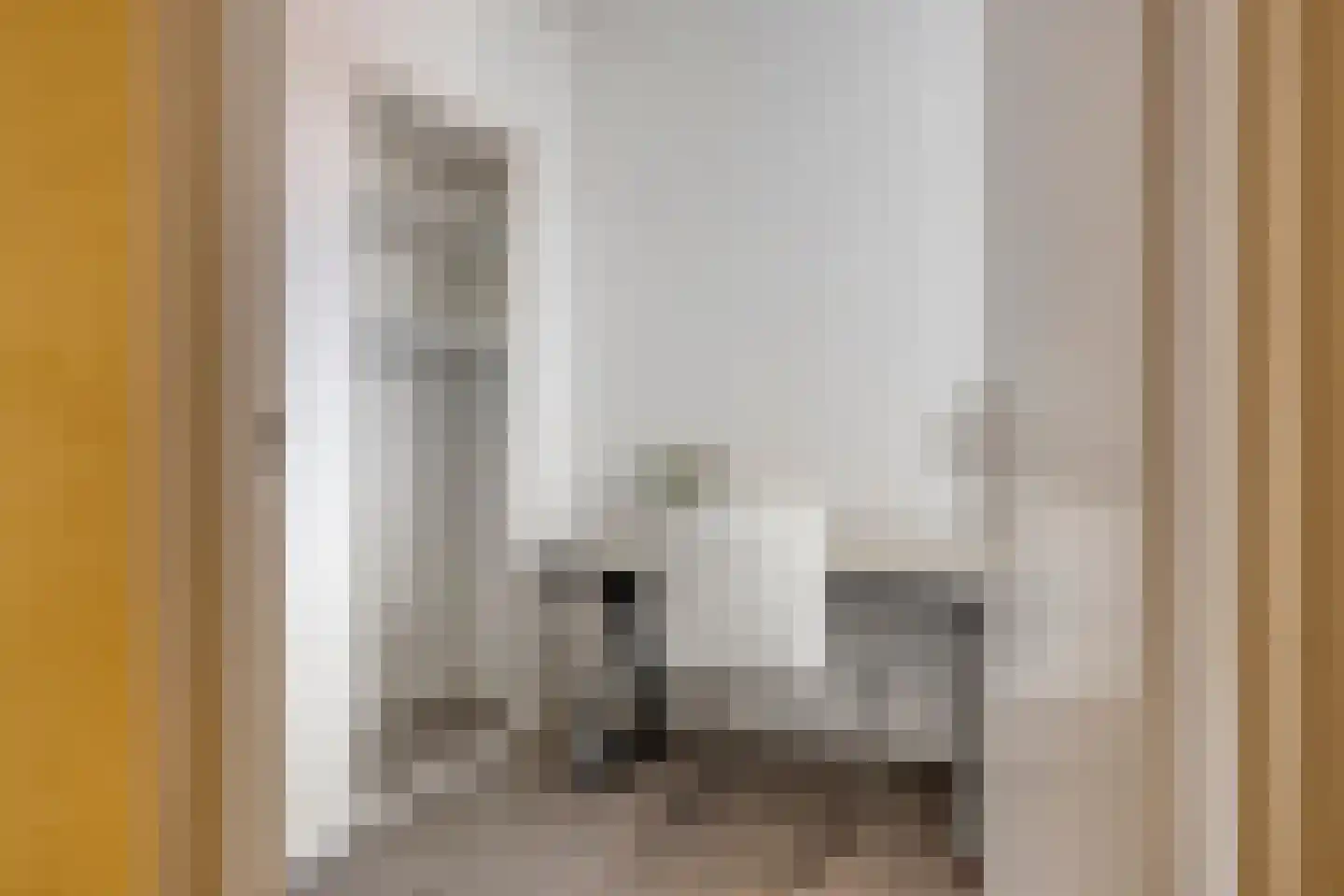Ruys de Beerenbrouckstraat 75 Zutphen thumbnail 18