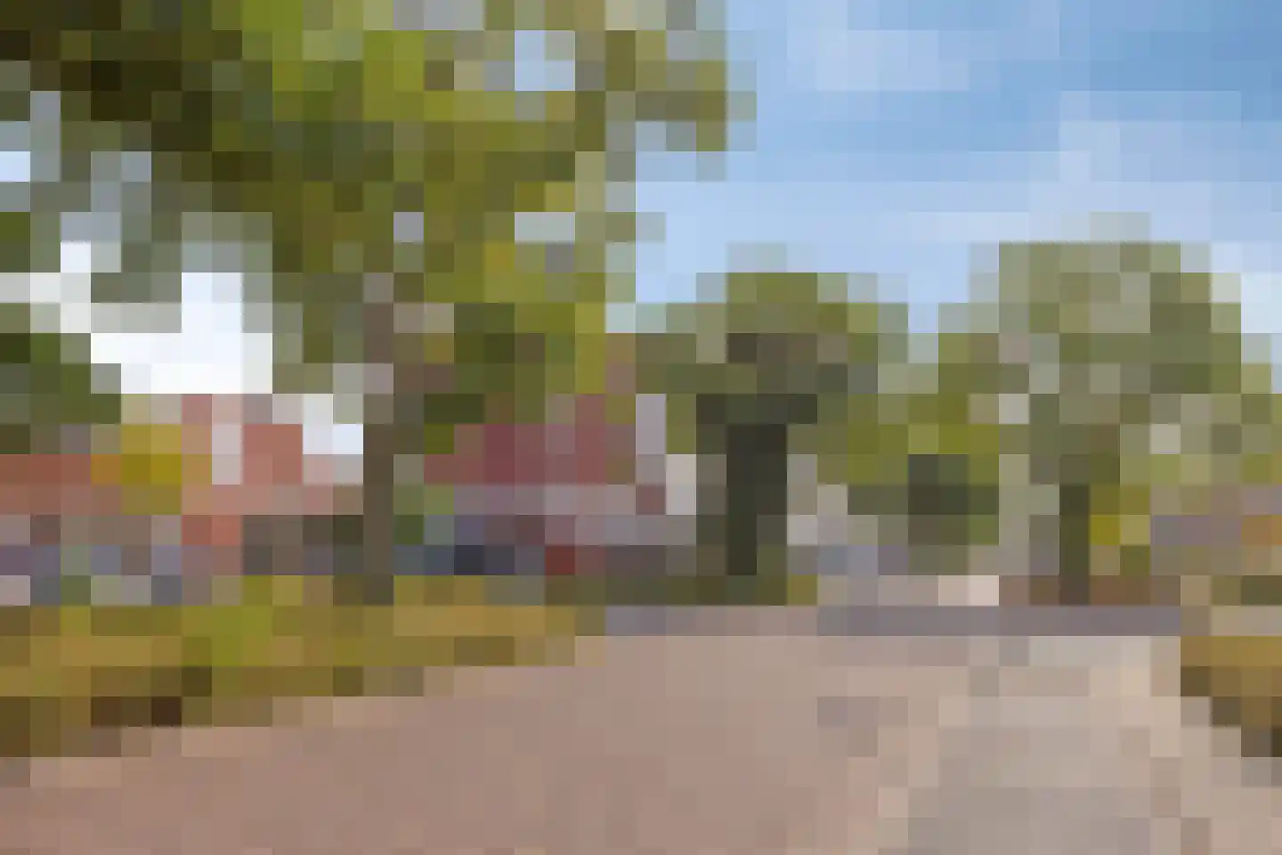 Ruys de Beerenbrouckstraat 75 Zutphen thumbnail 25