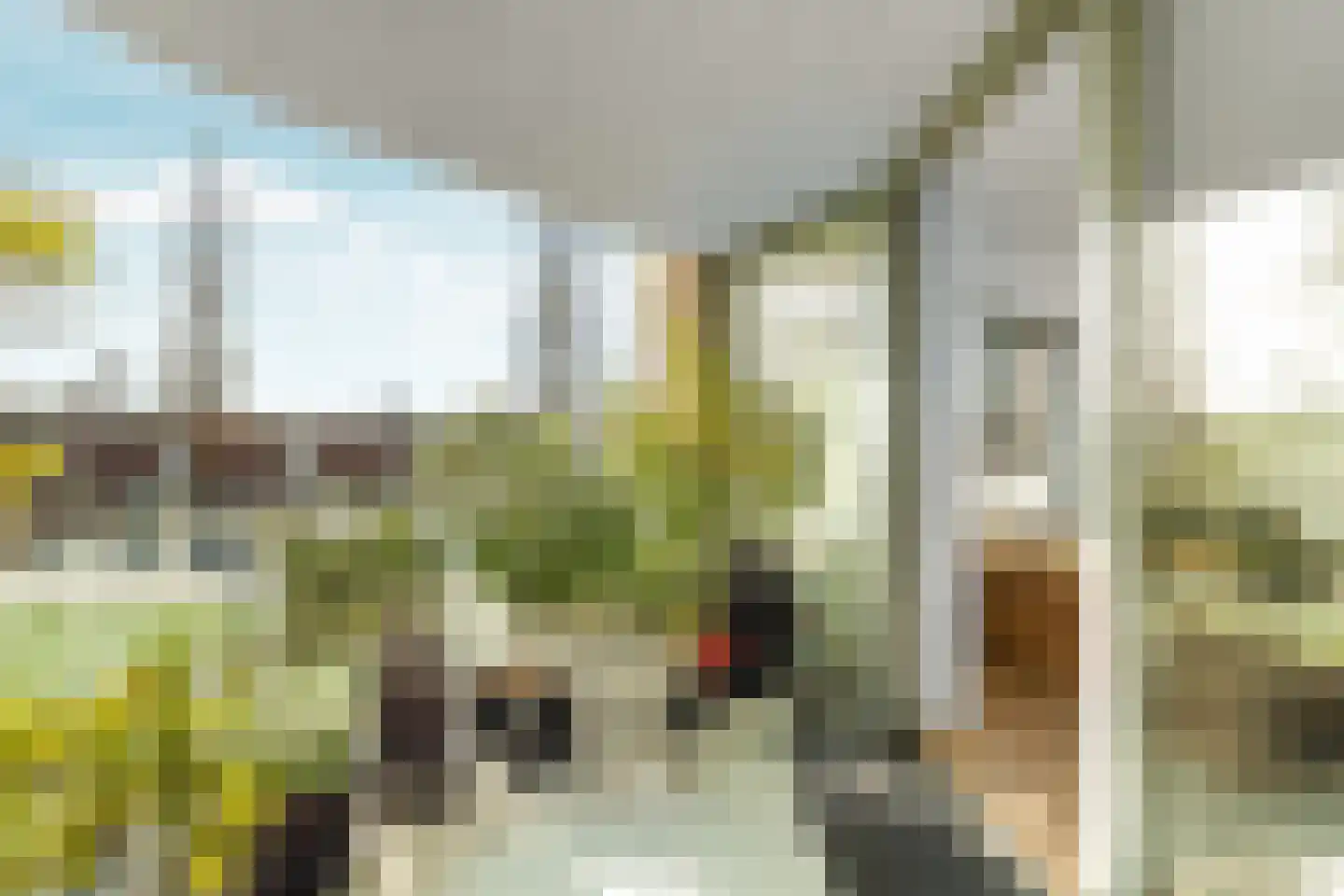 Ruys de Beerenbrouckstraat 82 Nijmegen thumbnail 12