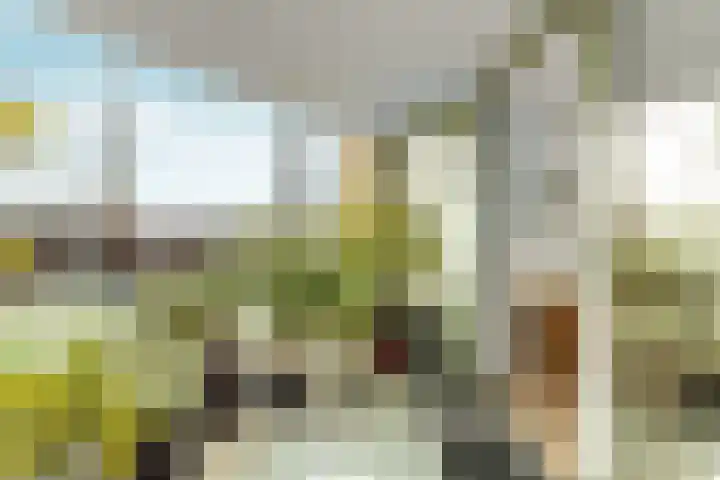 Ruys de Beerenbrouckstraat 82 Nijmegen thumbnail 12