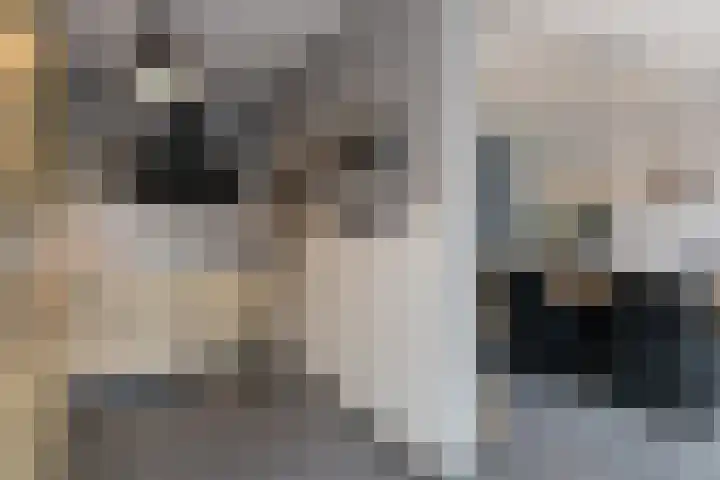 Ruys de Beerenbrouckstraat 9 Apeldoorn thumbnail 13