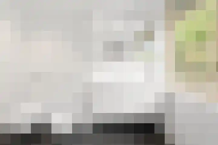 Ruys de Perezlaan 10 Aerdenhout thumbnail 30