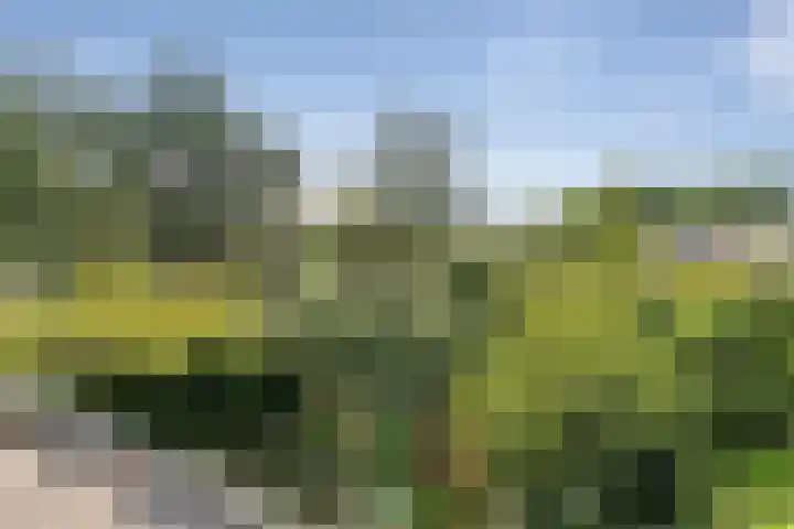 Ruys de Perezlaan 10 Aerdenhout thumbnail 36