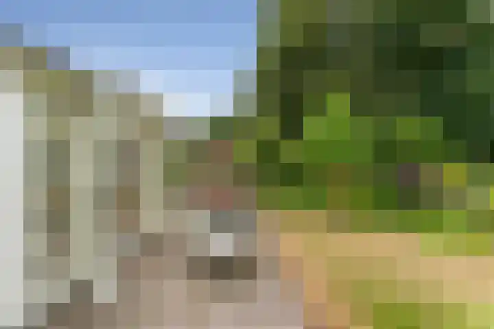 Ruys de Perezlaan 10 Aerdenhout thumbnail 38