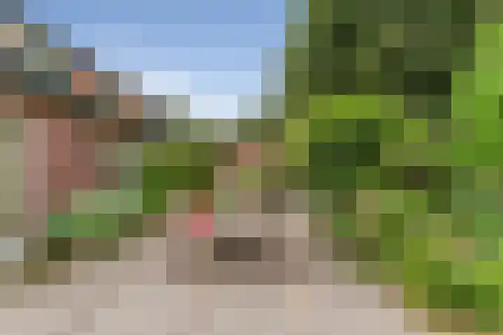 Ruys de Perezlaan 10 Aerdenhout thumbnail 39