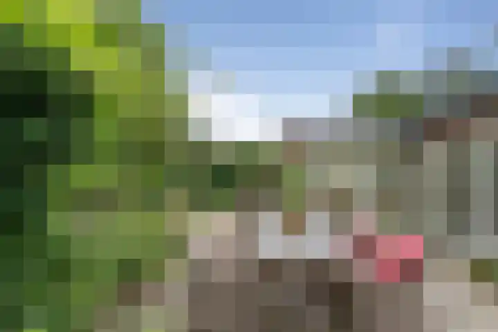 Ruys de Perezlaan 10 Aerdenhout thumbnail 40