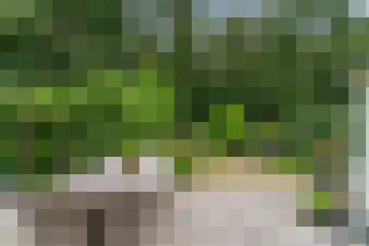 Ruys de Perezlaan 10 Aerdenhout thumbnail 43