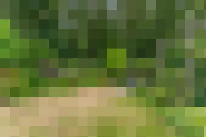 Ruys de Perezlaan 10 Aerdenhout thumbnail 46