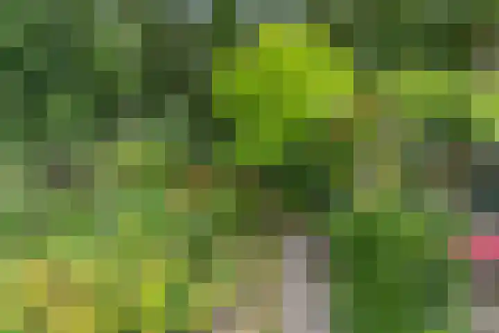 Ruys de Perezlaan 10 Aerdenhout thumbnail 47