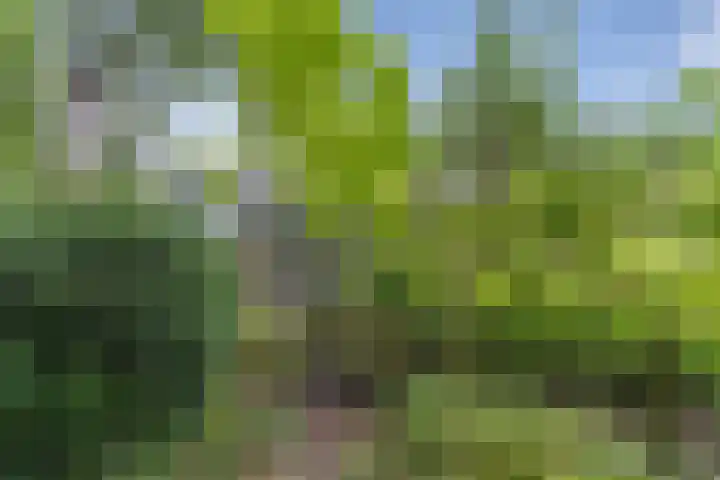 Ruys de Perezlaan 10 Aerdenhout thumbnail 48