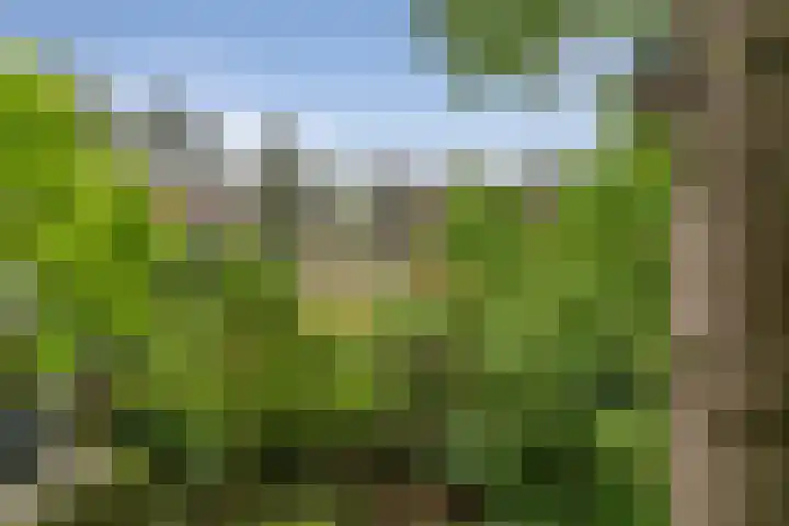 Ruys de Perezlaan 10 Aerdenhout thumbnail 49