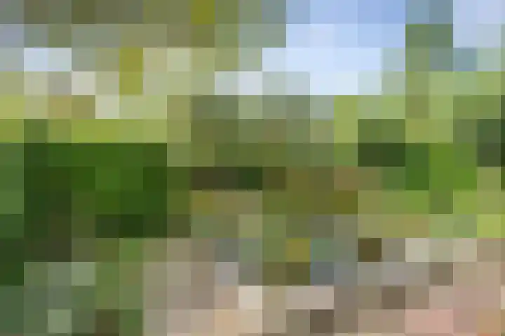 Ruys de Perezlaan 10 Aerdenhout thumbnail 50