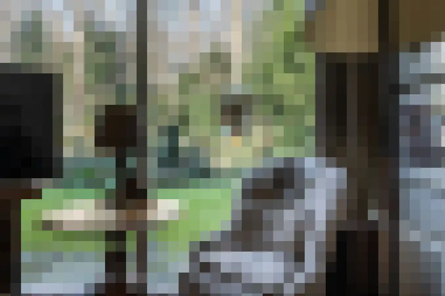 Ruys de Perezlaan 22 Aerdenhout thumbnail 12