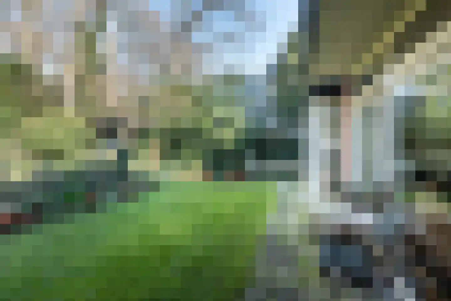 Ruys de Perezlaan 22 Aerdenhout thumbnail 29