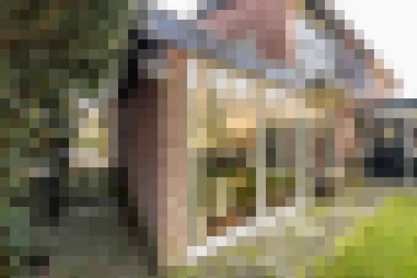 Ruys de Perezlaan 22 Aerdenhout thumbnail 30