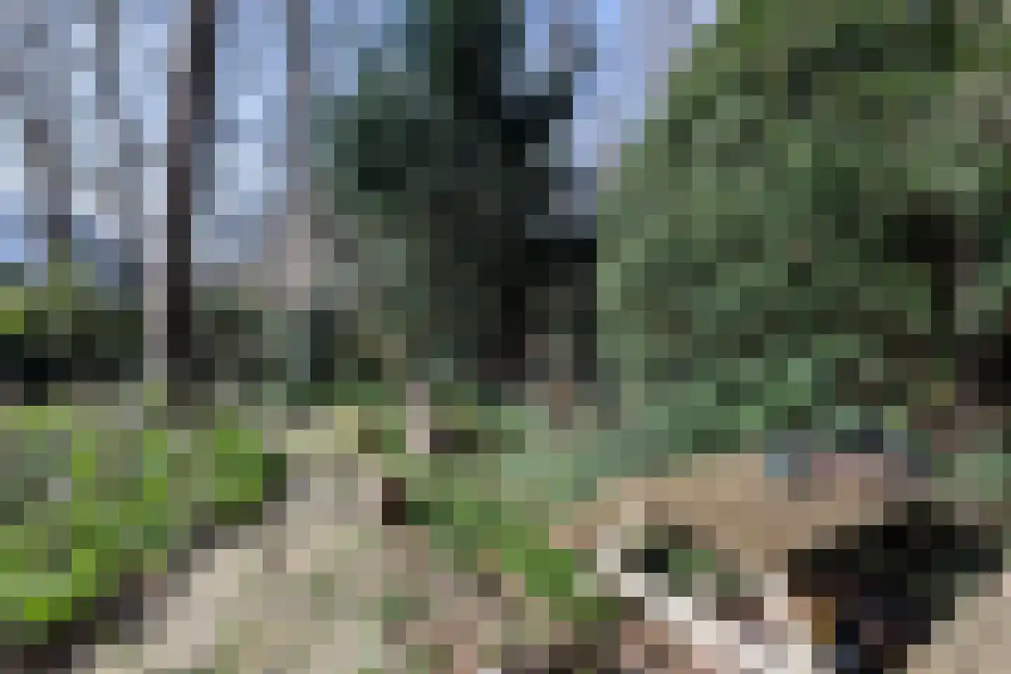 Ruys de Perezlaan 22 Aerdenhout thumbnail 32