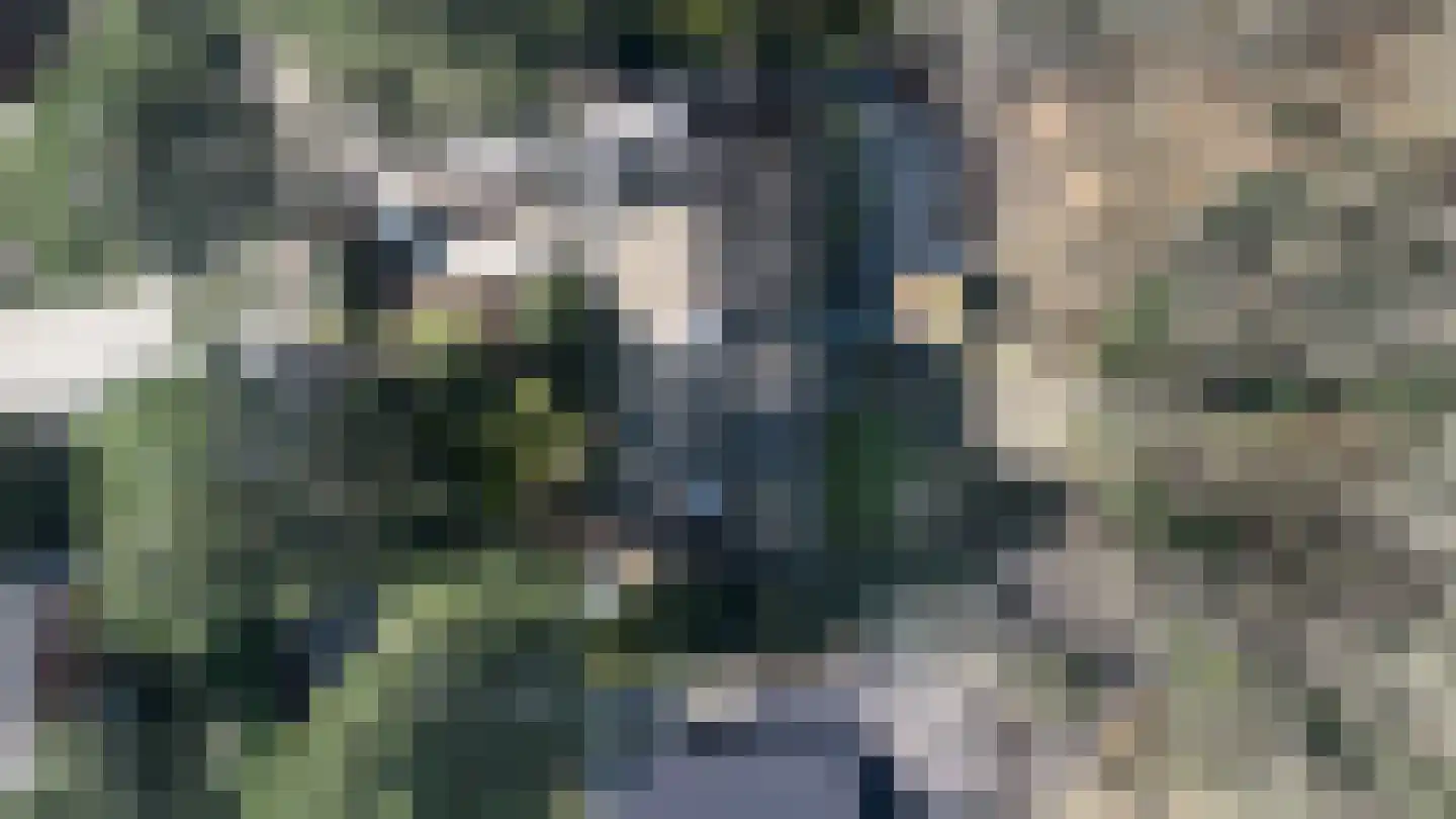 Ruys de Perezlaan 22 Aerdenhout thumbnail 38