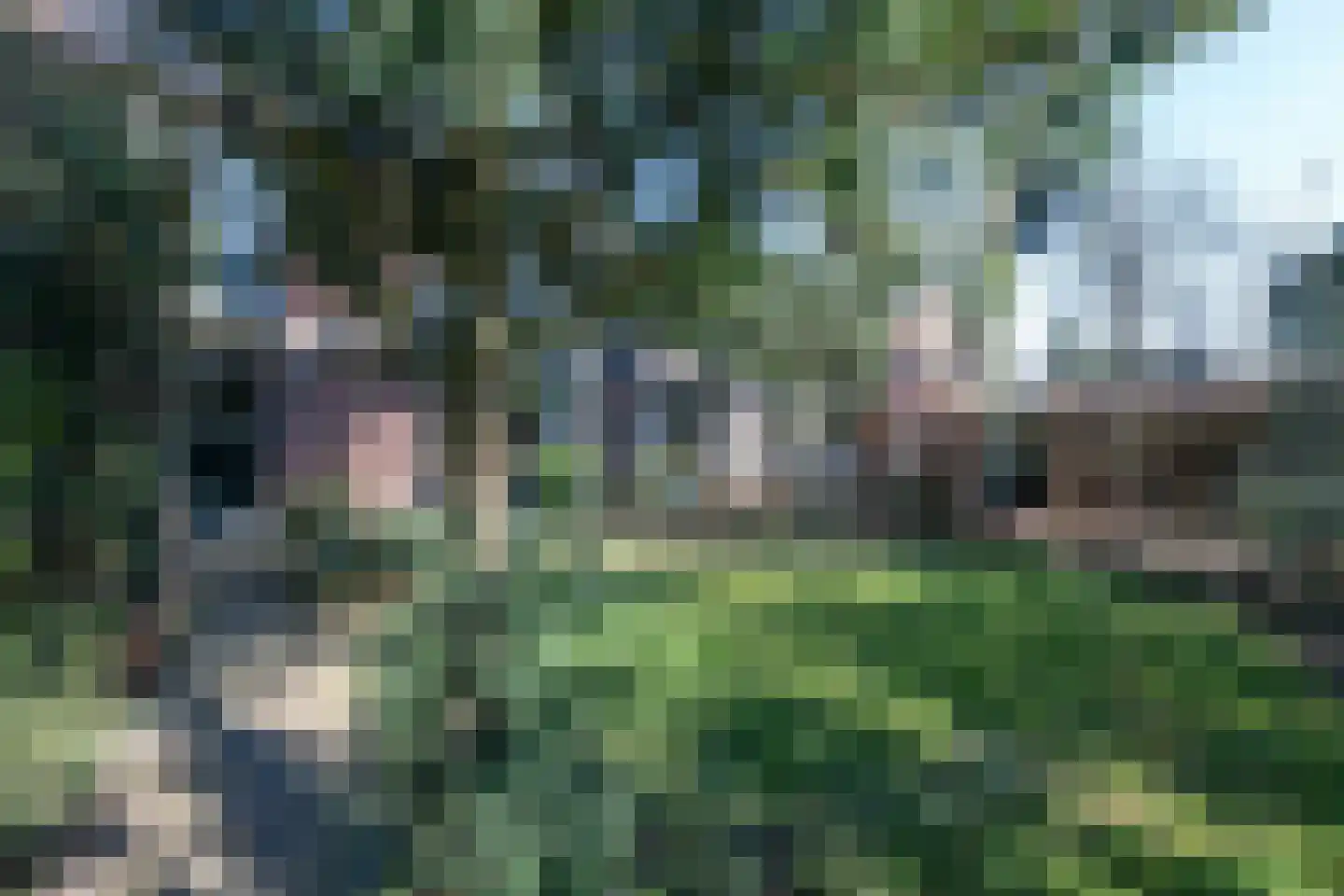Ruys de Perezlaan 22 Aerdenhout thumbnail 5