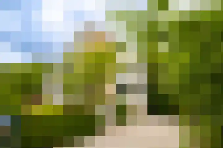 Ruys de Perezlaan 50 Aerdenhout thumbnail 37