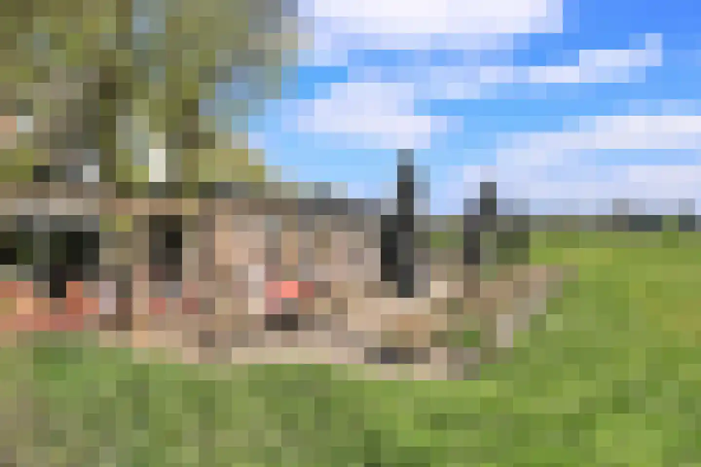 Ruys de Perezlaan 58 Aerdenhout thumbnail 45