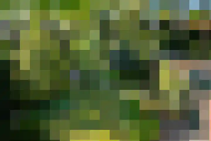 Ruys de Perezlaan 9 Aerdenhout thumbnail 21
