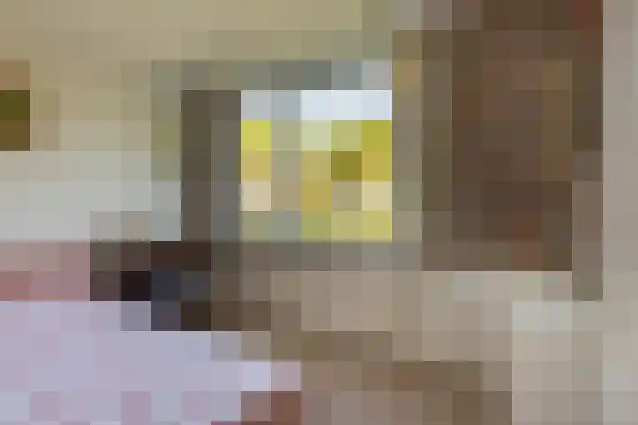 Ruys de Perezlaan 9 Aerdenhout thumbnail 28