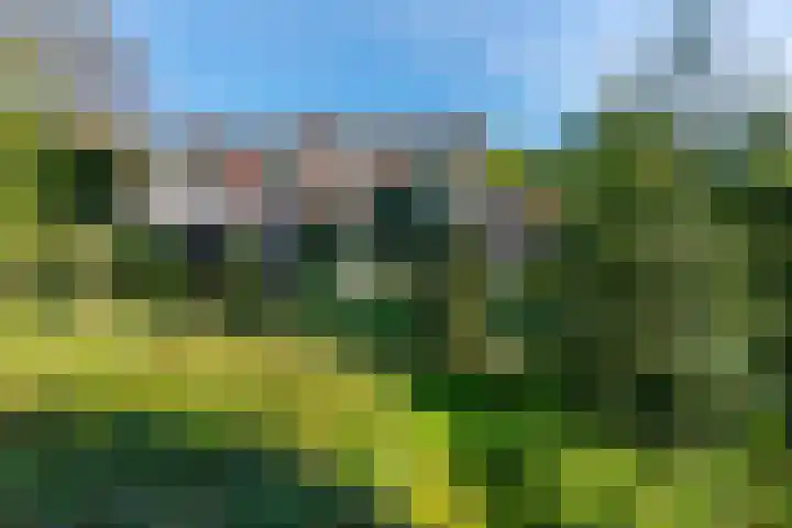 Ruys de Perezlaan 9 Aerdenhout thumbnail 36