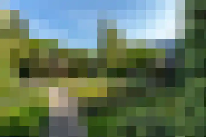 Ruys de Perezlaan 9 Aerdenhout thumbnail 38