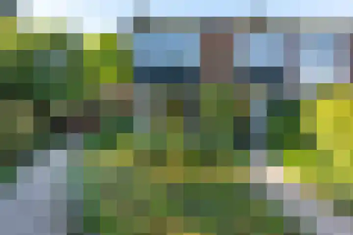 Ruys de Perezlaan 9 Aerdenhout thumbnail 40