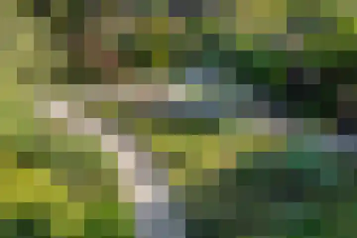 Ruys de Perezlaan 9 Aerdenhout thumbnail 41