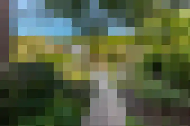 Ruys de Perezlaan 9 Aerdenhout thumbnail 43