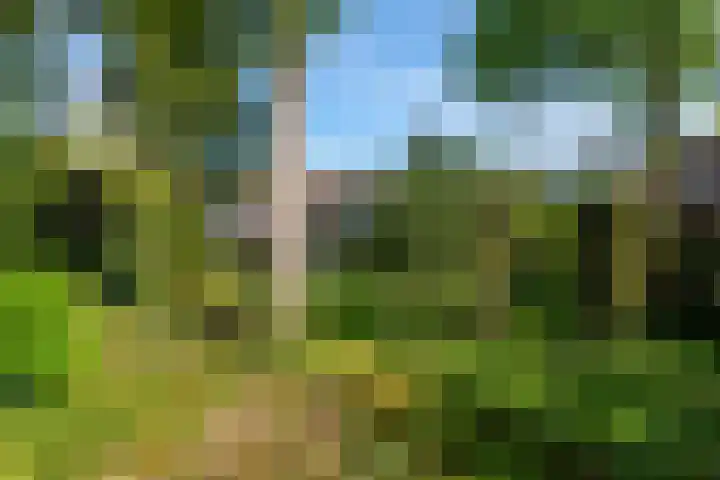 Ruys de Perezlaan 9 Aerdenhout thumbnail 5