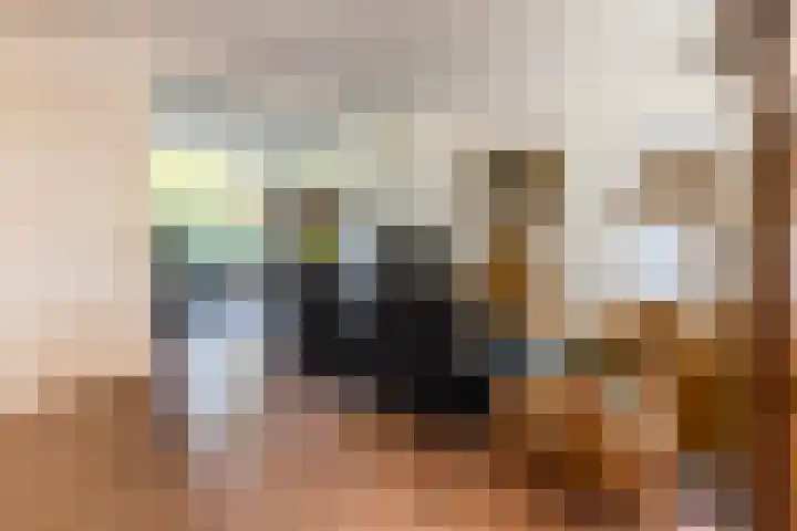 Ruys de Perezlaan 9 Aerdenhout thumbnail 8