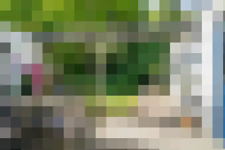 Ruys van Splintersingel 20 Beesel thumbnail 27