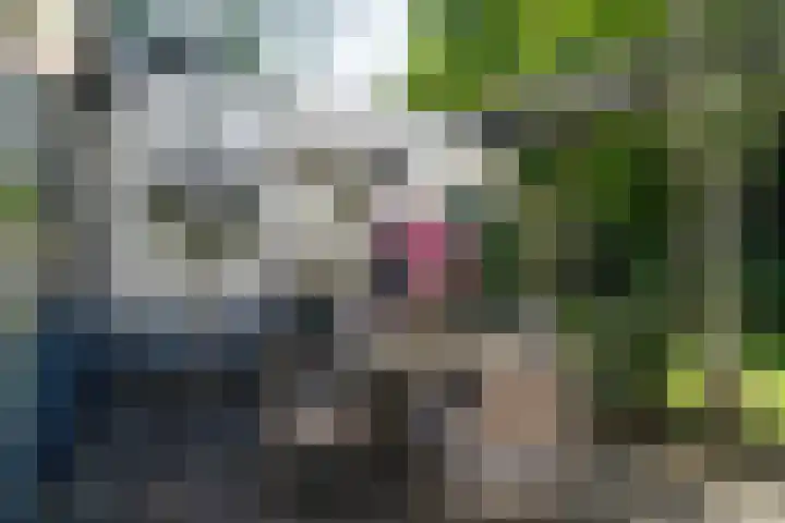 Ruys van Splintersingel 20 Beesel thumbnail 28