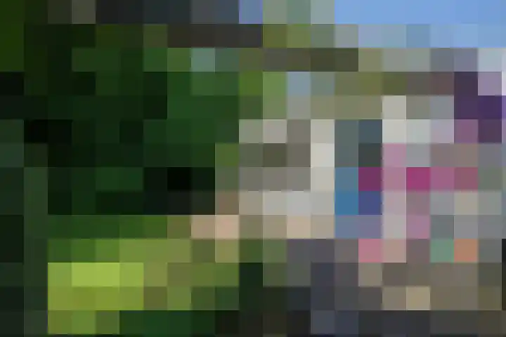 Ruys van Splintersingel 20 Beesel thumbnail 29