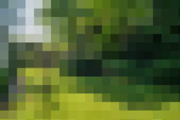 Ruys van Splintersingel 20 Beesel thumbnail 30