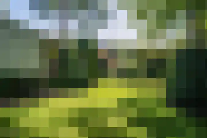 Ruys van Splintersingel 20 Beesel thumbnail 35
