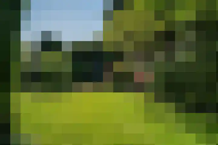 Ruys van Splintersingel 20 Beesel thumbnail 37