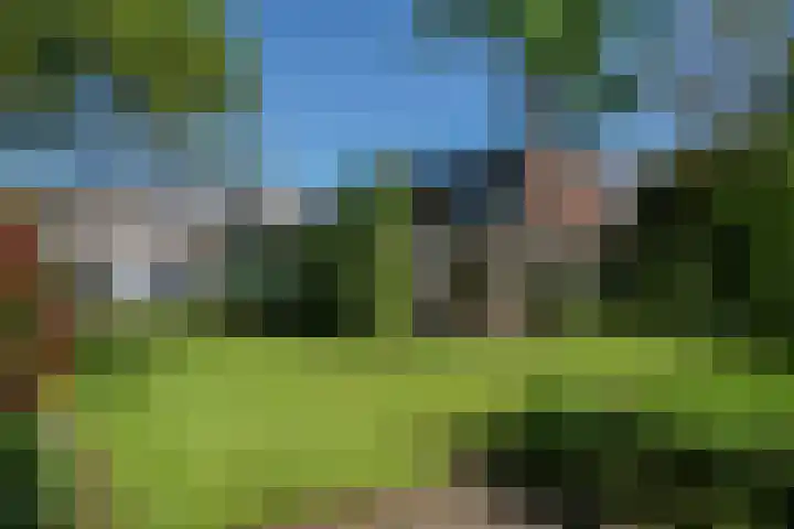 Ruys van Splintersingel 20 Beesel thumbnail 38