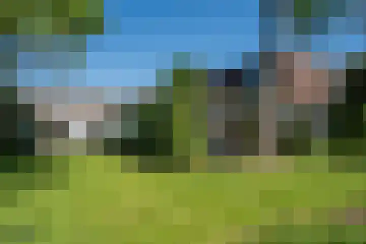 Ruys van Splintersingel 20 Beesel thumbnail 39