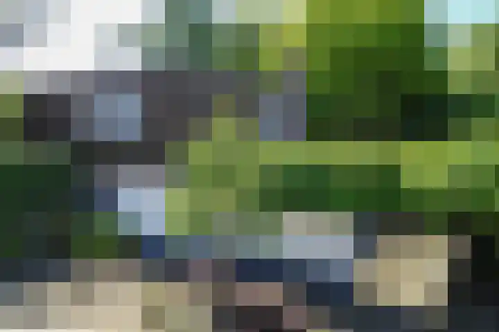 Ruys van Splintersingel 20 Beesel thumbnail 4