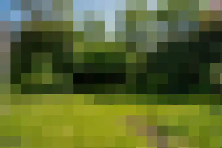 Ruys van Splintersingel 20 Beesel thumbnail 41