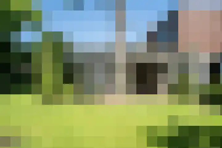 Ruys van Splintersingel 20 Beesel thumbnail 42