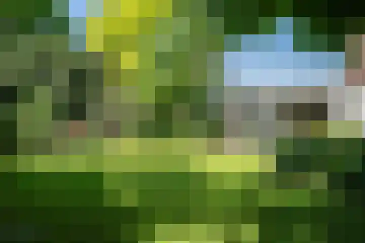 Ruys van Splintersingel 20 Beesel thumbnail 45