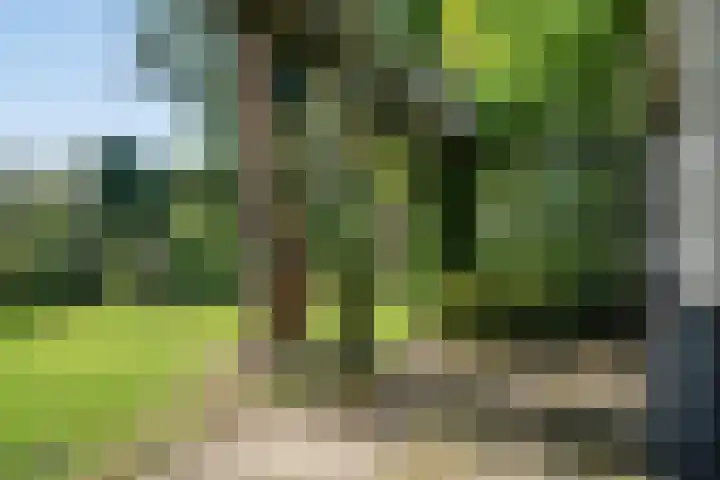Ruys van Splintersingel 20 Beesel thumbnail 47