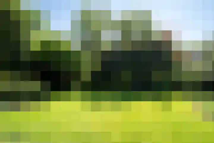 Ruys van Splintersingel 20 Beesel thumbnail 49