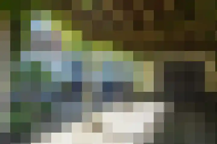 Ruys van Splintersingel 20 Beesel thumbnail 5