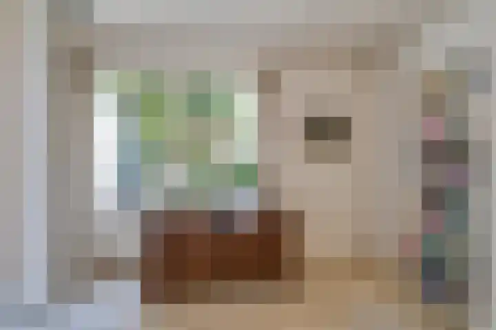 Ruys van Splintersingel 20 Beesel thumbnail 55